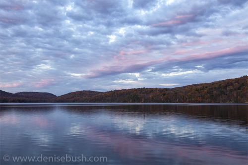 'Serenity At Sterling Lake'  © Denise Bush