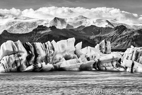 'Icebergs In Glacier Lagoon'  © Denise Bush