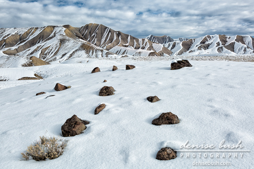 'High Desert Winter Landscape' © Denise Bush