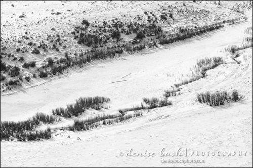 A composition of the valley below creates an abstract design of texture and line in B&W.