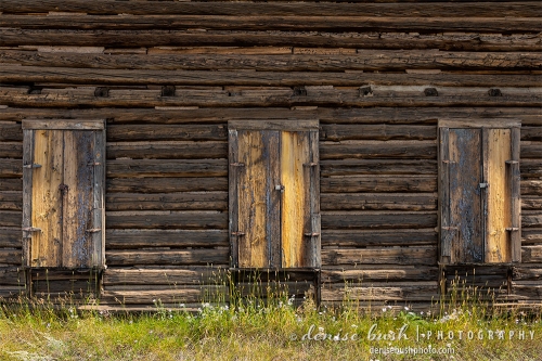 An abandoned log building is locked up tight with shutters and padlocks on all three windows.