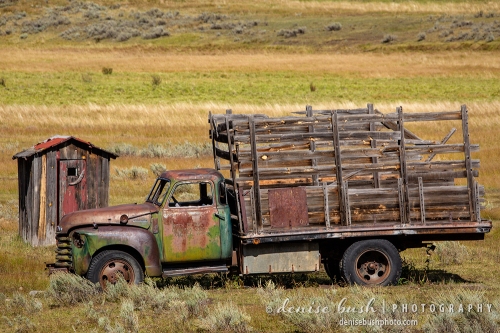 An old Chevrolet truck parked next to an outhouse reminds us of how it used to be!