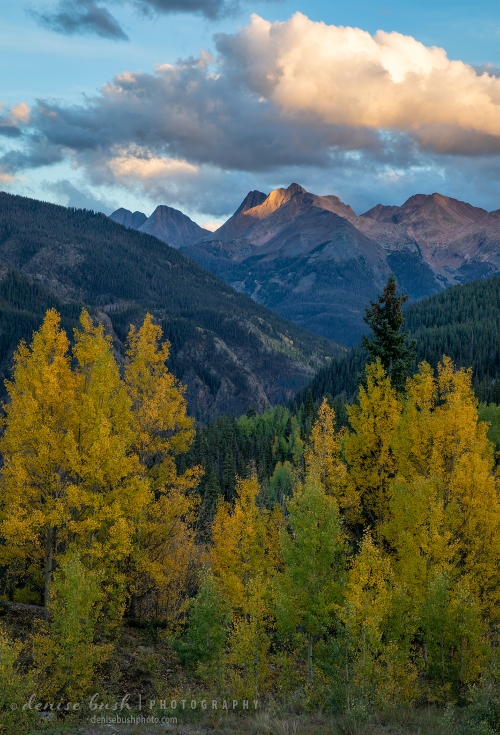 Autumn aspens adorn the foreground of this San Juan Mountain, Colorado scene.