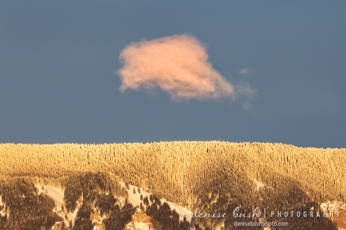 A frosty ridge is topped by a cotton candy cloud.